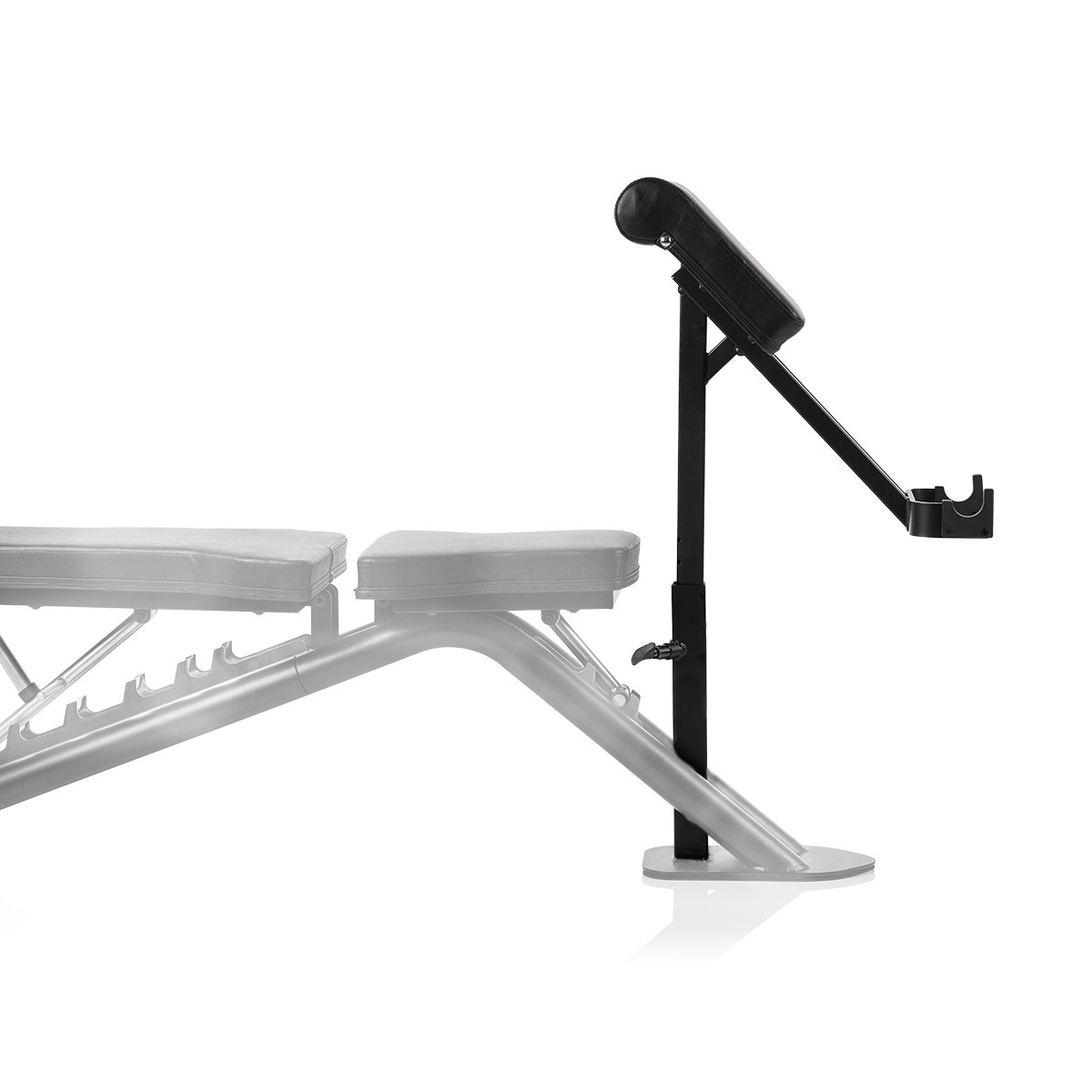 Weight bench Autark curl desk
