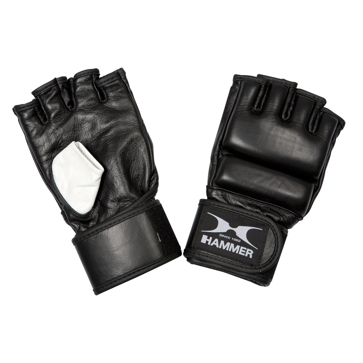 Premium MMA