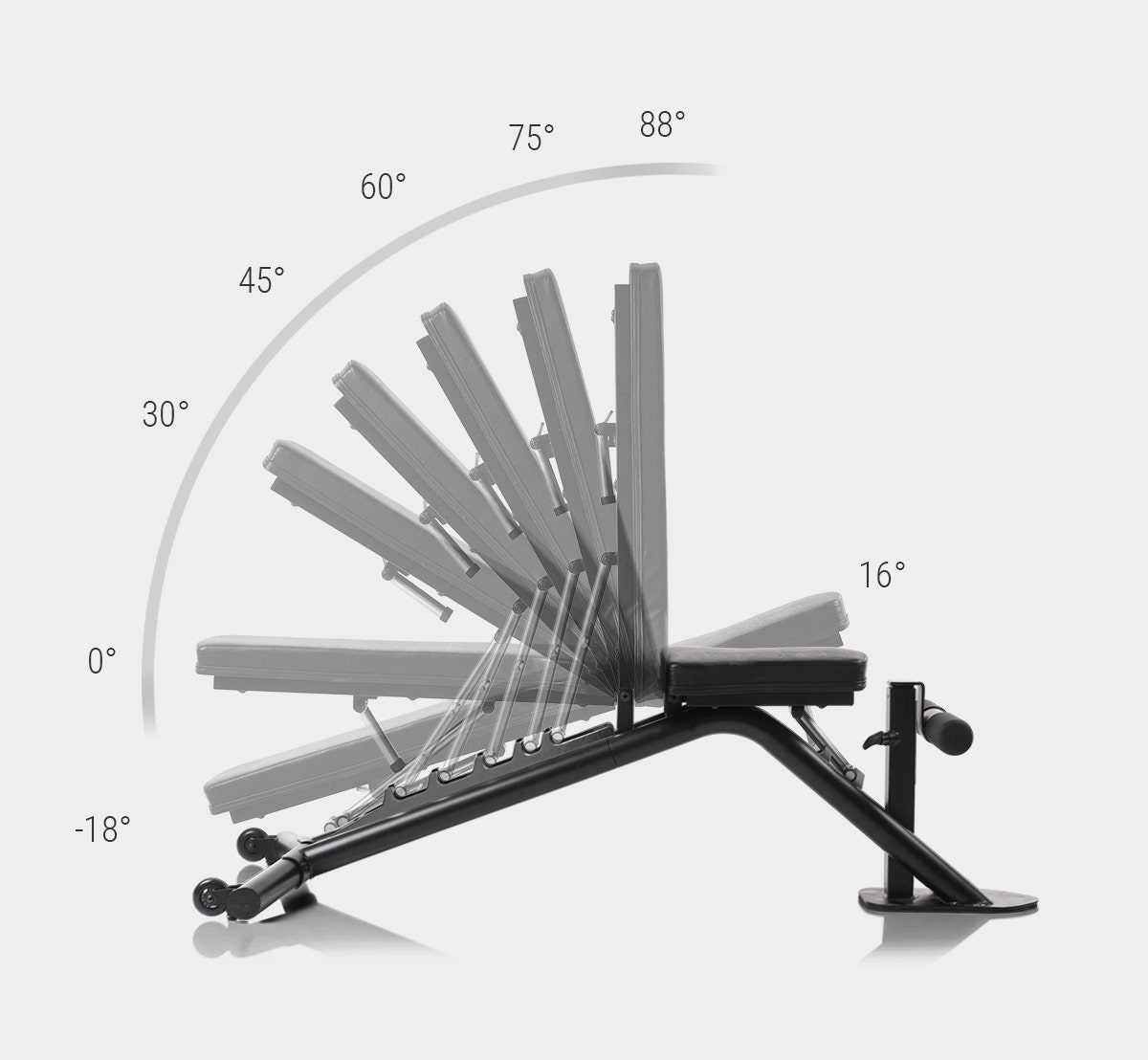 Multifunctional training Multifunctional training