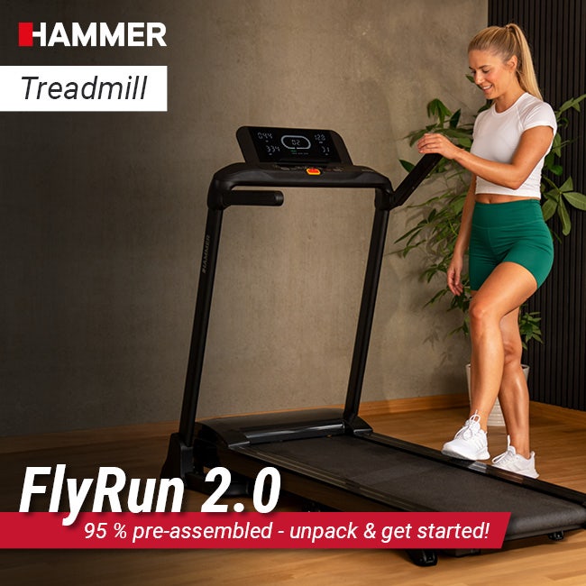 FlyRun 2.0
