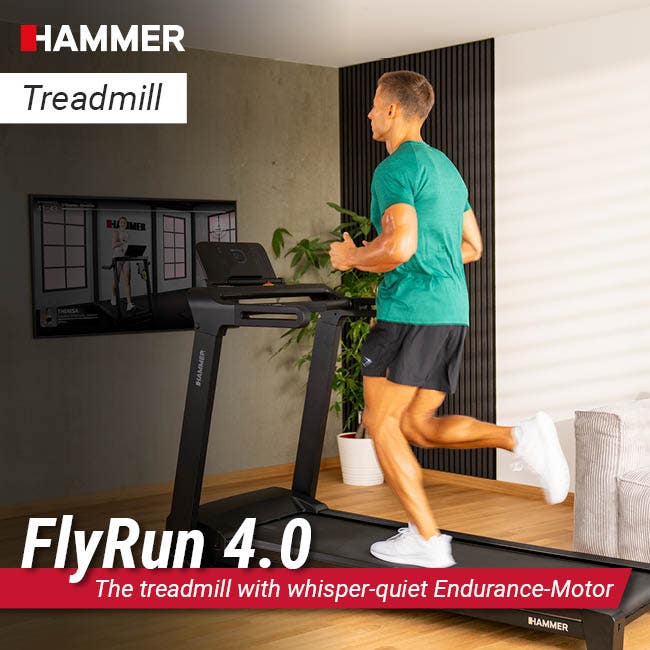 FlyRun 4.0