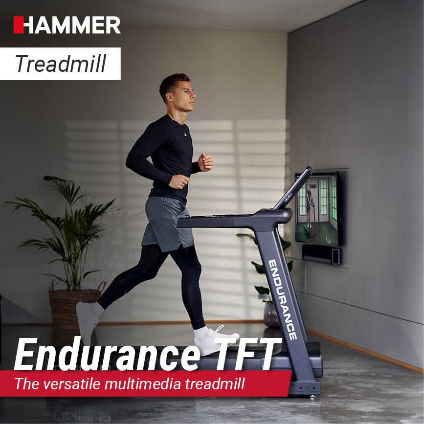  Endurance TFT