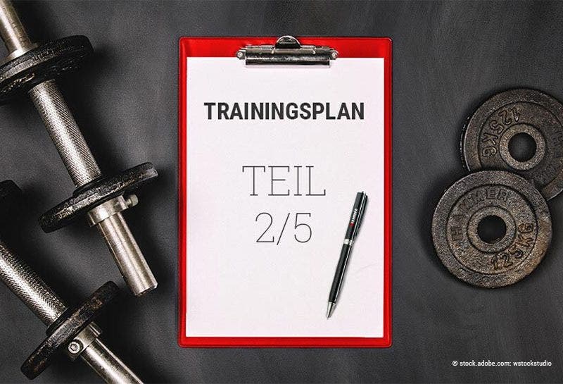 Welcher Trainingsplan passt zu mir? - Teil 2: Ganzkörper-Trainingsplan