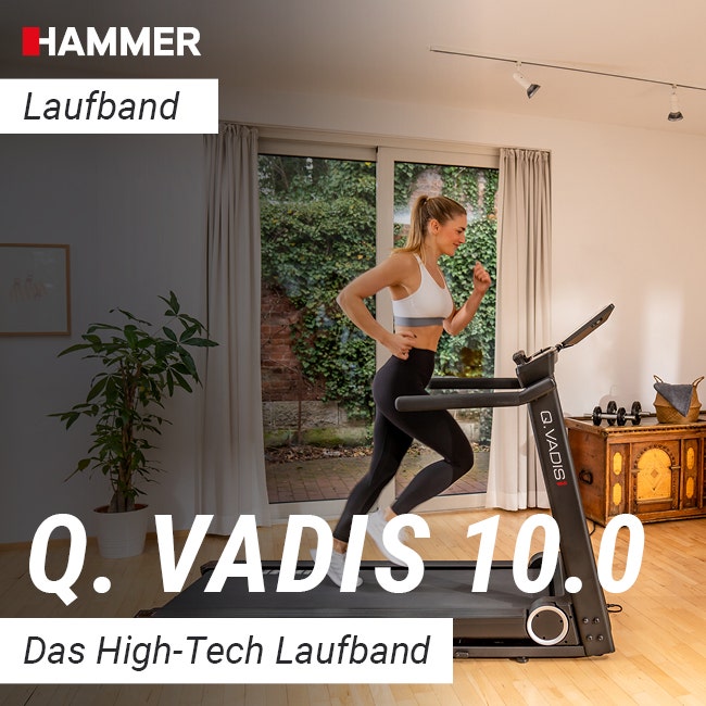 Q. VADIS 10.0